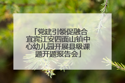 党建引领促融合 宜宾江安四面山镇中心幼儿园开展县级课题开题报告会