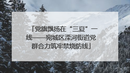 党旗飘扬在“三夏”一线——宛城区溧河街道党群合力筑牢禁烧防线