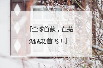 全球首款，在芜湖成功首飞！