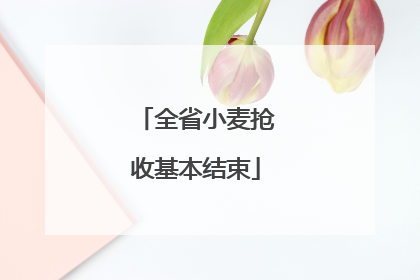 全省小麦抢收基本结束