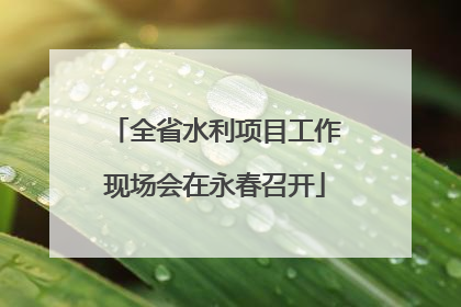 全省水利项目工作现场会在永春召开