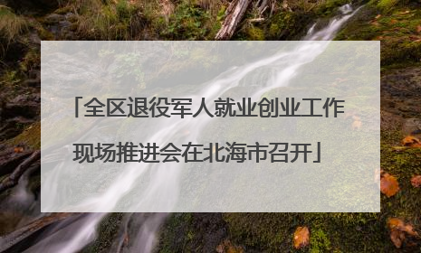 全区退役军人就业创业工作现场推进会在北海市召开