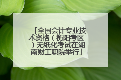 全国会计专业技术资格（衡阳考区）无纸化考试在湖南财工职院举行
