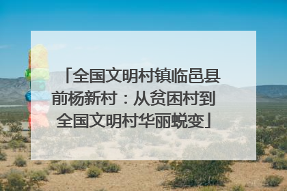 全国文明村镇临邑县前杨新村：从贫困村到全国文明村华丽蜕变