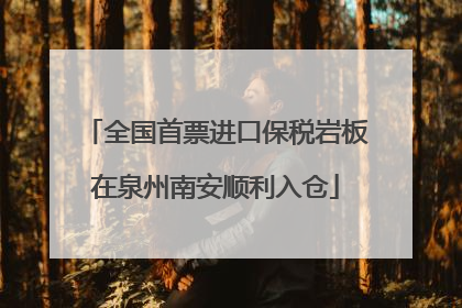 全国首票进口保税岩板在泉州南安顺利入仓