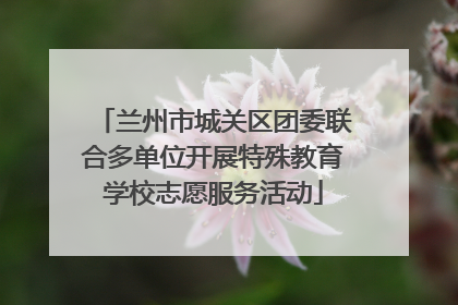 兰州市城关区团委联合多单位开展特殊教育学校志愿服务活动