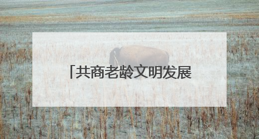 共商老龄文明发展大计 伦理与文明国际会议之伦理与老龄文明专场开幕