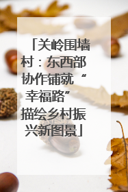关岭围墙村：东西部协作铺就“幸福路” 描绘乡村振兴新图景