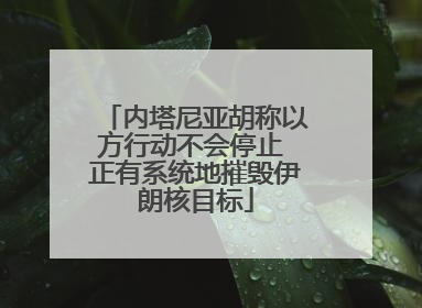 内塔尼亚胡称以方行动不会停止 正有系统地摧毁伊朗核目标