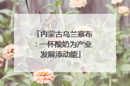 内蒙古乌兰察布：一杯酸奶为产业发展添动能