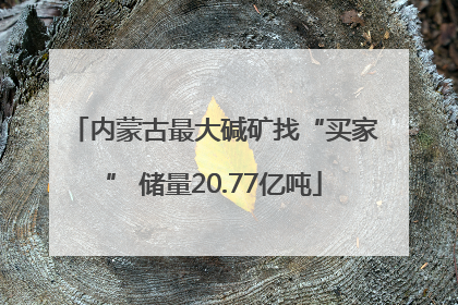 内蒙古最大碱矿找“买家” 储量20.77亿吨