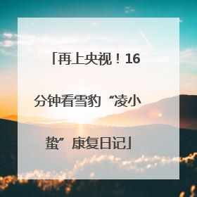 再上央视！16分钟看雪豹“凌小蛰”康复日记