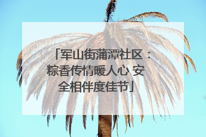 军山街蒲潭社区：粽香传情暖人心 安全相伴度佳节