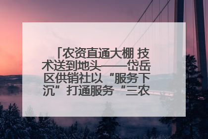 农资直通大棚 技术送到地头——岱岳区供销社以“服务下沉”打通服务“三农”最后一公里