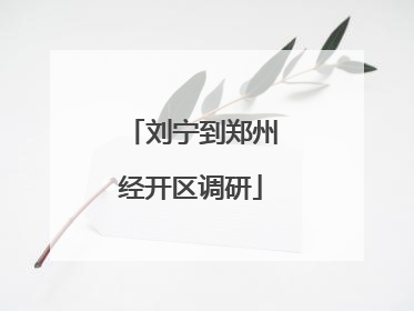 刘宁到郑州经开区调研