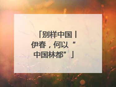 别样中国丨伊春，何以“中国林都”