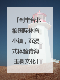 到丰台北粮国际体育小镇，沉浸式体验青海玉树文化