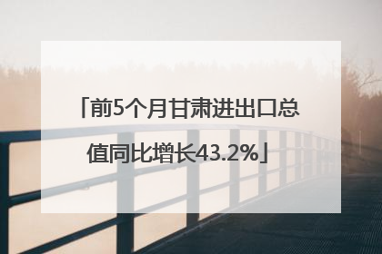 前5个月甘肃进出口总值同比增长43.2%