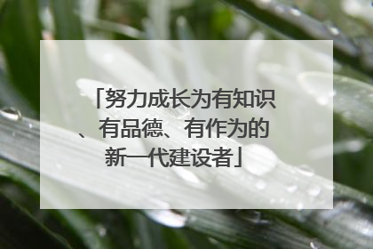 努力成长为有知识、有品德、有作为的新一代建设者