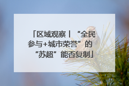 区域观察丨“全民参与+城市荣誉”的“苏超”能否复制
