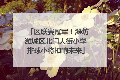 区联赛冠军！潍坊潍城区北门大街小学排球小将扣响未来