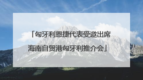 匈牙利恩捷代表受邀出席海南自贸港匈牙利推介会