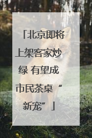北京即将上架客家炒绿 有望成市民茶桌“新宠”