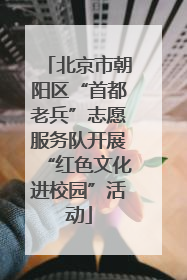 北京市朝阳区“首都老兵”志愿服务队开展“红色文化进校园”活动