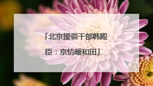 北京援疆干部韩殿臣：京情暖和田