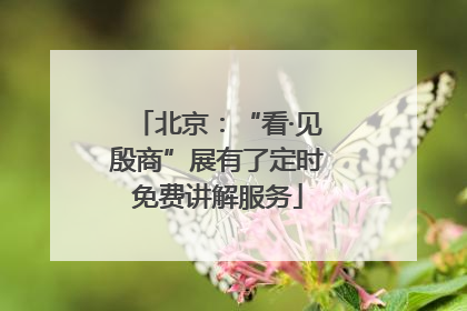北京：“看·见殷商”展有了定时免费讲解服务
