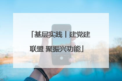 基层实践丨建党建联盟 聚振兴功能