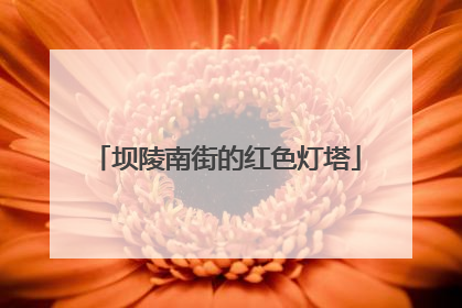 坝陵南街的红色灯塔