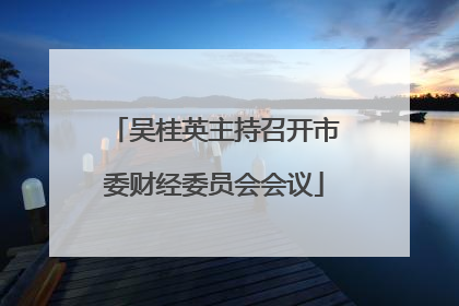 吴桂英主持召开市委财经委员会会议