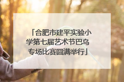合肥市建平实验小学第七届艺术节巴乌专场比赛圆满举行
