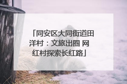 同安区大同街道田洋村：文旅出圈 网红村探索长红路