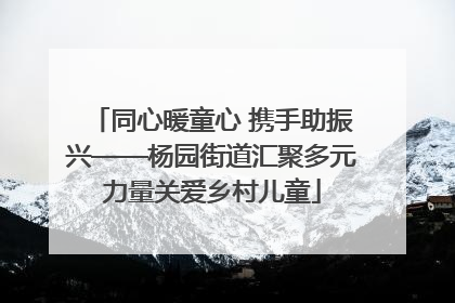 同心暖童心 携手助振兴——杨园街道汇聚多元力量关爱乡村儿童