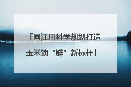 同江用科学规划打造玉米锁“鲜”新标杆