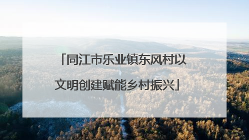 同江市乐业镇东风村以文明创建赋能乡村振兴