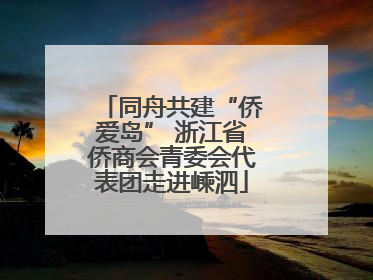 同舟共建“侨爱岛” 浙江省侨商会青委会代表团走进嵊泗