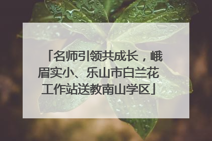 名师引领共成长，峨眉实小、乐山市白兰花工作站送教南山学区