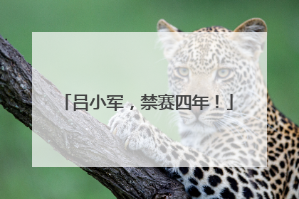 吕小军，禁赛四年！