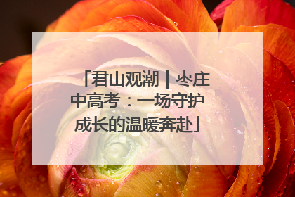 君山观潮｜枣庄中高考：一场守护成长的温暖奔赴