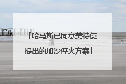 哈马斯已同意美特使提出的加沙停火方案