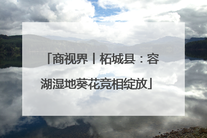 商视界丨柘城县：容湖湿地葵花竞相绽放