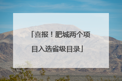 喜报！肥城两个项目入选省级目录