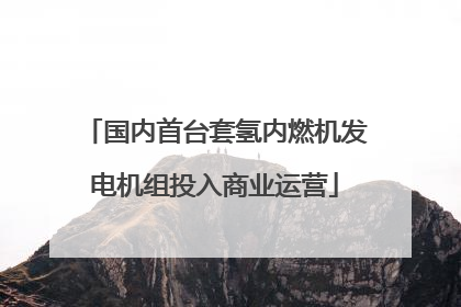 国内首台套氢内燃机发电机组投入商业运营