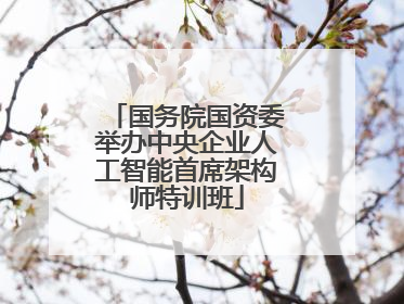 国务院国资委举办中央企业人工智能首席架构师特训班