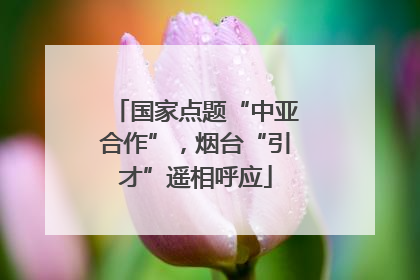 国家点题“中亚合作”，烟台“引才”遥相呼应