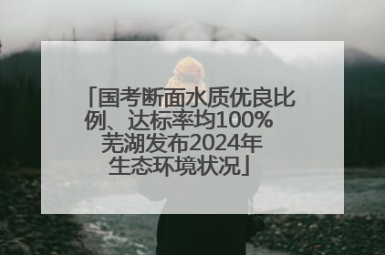 国考断面水质优良比例、达标率均100% 芜湖发布2024年生态环境状况