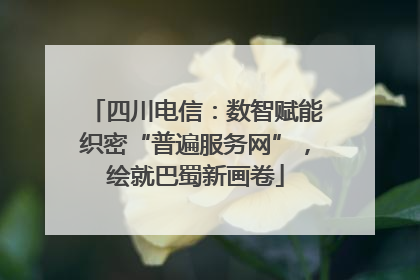 四川电信：数智赋能织密“普遍服务网”，绘就巴蜀新画卷